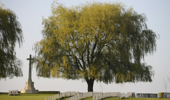 Cimetière militaire du Commonwealth "Prowse Point Military Cemetery" à Ploegsteert © AWaP